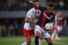 意甲第6轮博洛尼亚迎战比萨，主场强势但受伤影响，比萨深陷保级区，两队对决悬念十足。