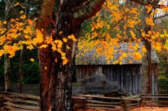 西甲毕尔巴鄂竞技与尼科・威廉姆斯续约至2035年