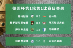 果然！德甲不莱梅杯赛爆冷了！比勒菲1-0击败不莱梅，7连胜