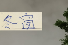 今年中超算是回光！ 居然有德甲+意甲球员加盟联赛