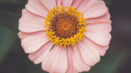 决赛补时无缘欧冠奖牌，卢卡斯莫拉感慨，穆里尼奥直率才是真导师