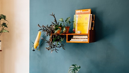 24小时火速逃离！张本兄妹叛逃德甲引爆乒坛